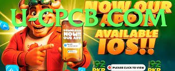 WC99 game app for Pakistan players